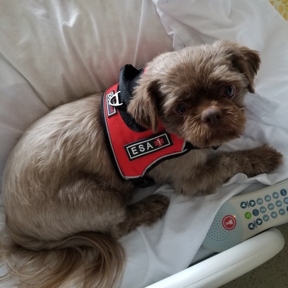 Meet your Posher, Shelly - Picture 1 of 1